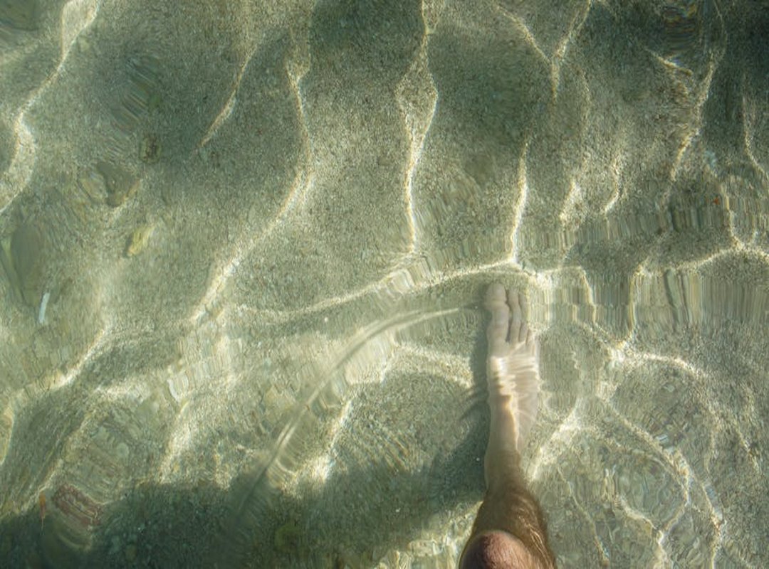 Famous Food in Hausizius