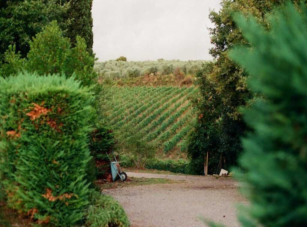 farm stays Tuscany