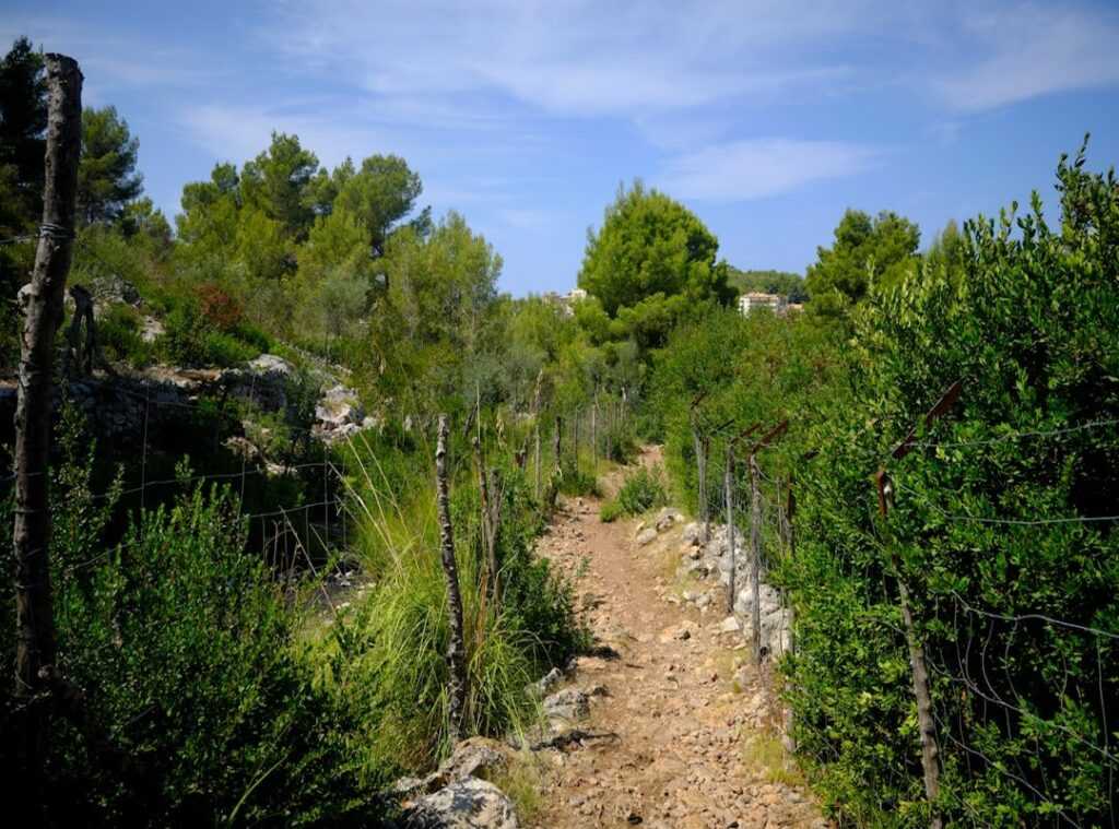 hidden hiking trails