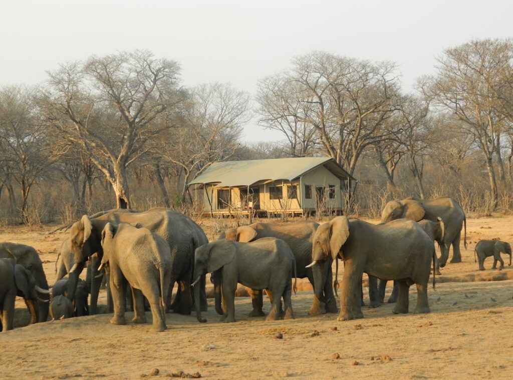sustainable travel eco-tourism